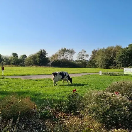 Morgenroete - Weserblick -harriersand Lejlighed Schwanewede