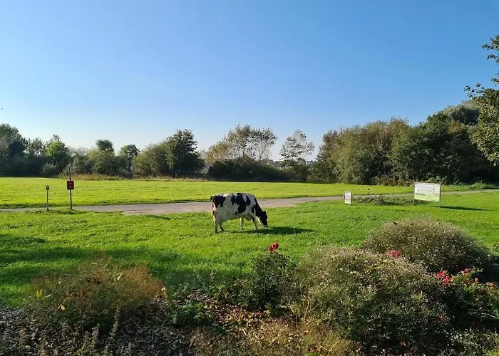 Morgenroete - Weserblick -harriersand 公寓 Schwanewede