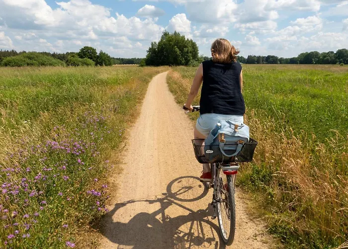 Morgenroete - Weserblick -harriersand *